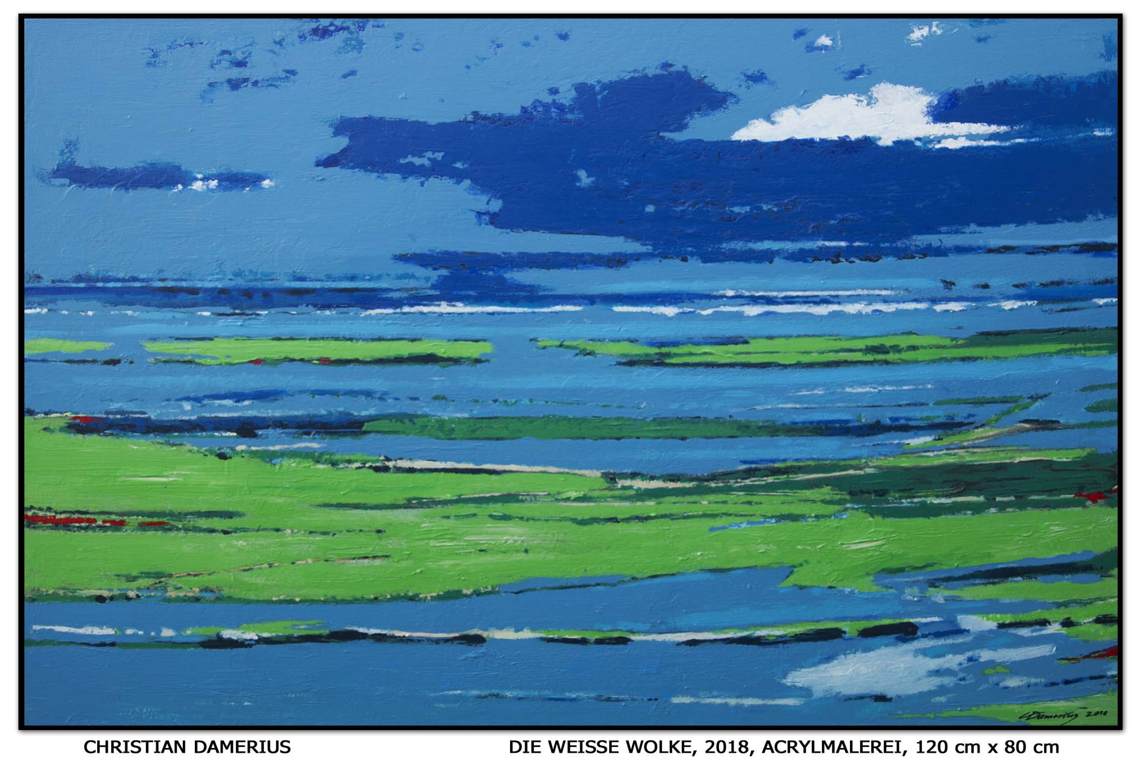 christian damerius,moderne norddeutsche landschaftsmalerei,wolken,himmel,rapsfelder,abstrakte malerei aktuelle kunst gemlde kunstdrucke,moderne kunst gemlde kaufen,hamburg,reinbek,berlin,leipzig,dresden,mnchen,dsseldorf,kln