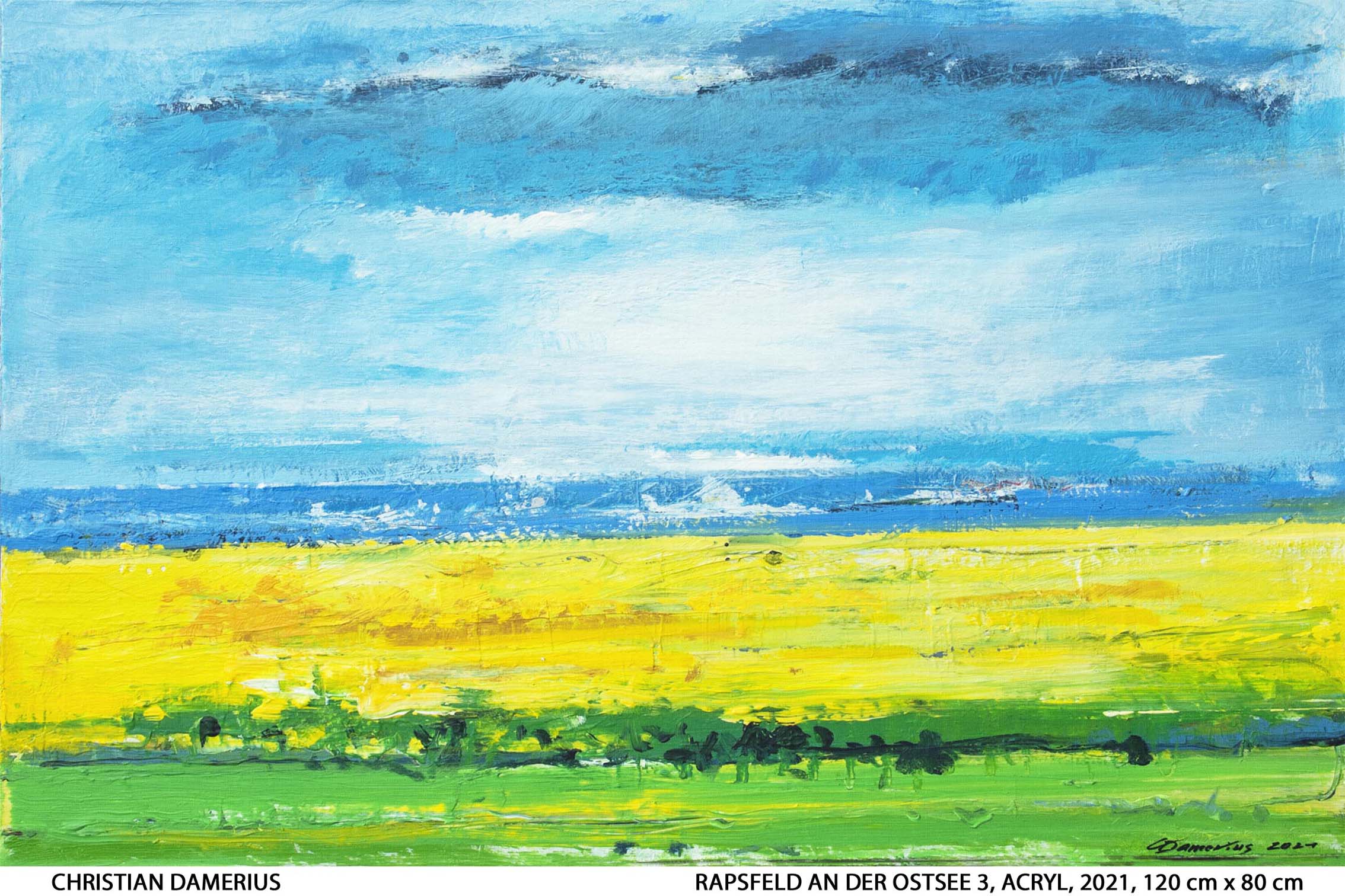 kunstdruck gemälde malerei rapsfeld-an-der-ostsee-3,MODERNE NORDDEUTSCHE LANDSCHAFTSMALEREI,bekannte deutsche moderne maler christian damerius,GEMÄLDE KUNSTDRUCKE MODERNE KUNST DEUTSCHE MALEREI CHRISTIAN DAMERIUS,GEMÄLDE,KUNSTDRUCKE,berlin,hamburg,reinbek,münchen,düsseldorf,köln